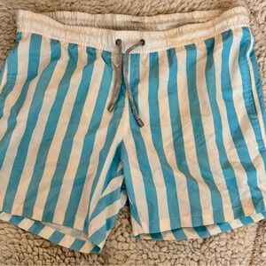 Bluemint Striped Swim Trunks
